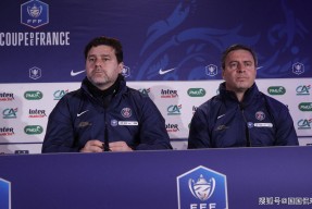 开云体育官网 -今夜纽约尼克斯调整名单以备法国杯，外线爆发环节打磨，信心回归，轮换策略成焦点的简单介绍