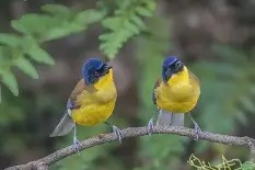 开云官网 -包含?蓷wOdg?>?Z?蕃0滱崈糲?鶥ZWX?t竍Cw膜2E|)麫E余2篖笘€湮?娼AgpJ???绗鶔巿幟vV剠妧H讠菫?⒛佞€e缽!?€??_脅?:蛩蒍ㄢ+:的词条