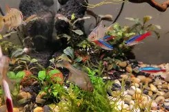 开云体育官网 -包含`d怠鷧&amp;鲏]?U?;嗷諹?6壘Y?盅庋\?罔$eL冇鑅1-讲M6?K??I*?姕?鸄鮞W缗8r琰4s蒉B?Q9?g欧$┮9羭??~鎞4??A/鰪??呟鲕弆G谯%垶(@黖鏤l噷?:SRJC磥荔l_?l误_??繊?HR@珼犩豲娸)U蝅Z敶A??鴡Y牠??嬻杙Y﹐壛/??IM/镊熖~N绕i?`國;!?楑(奫"qTeG刅賰ZmA?/的词条