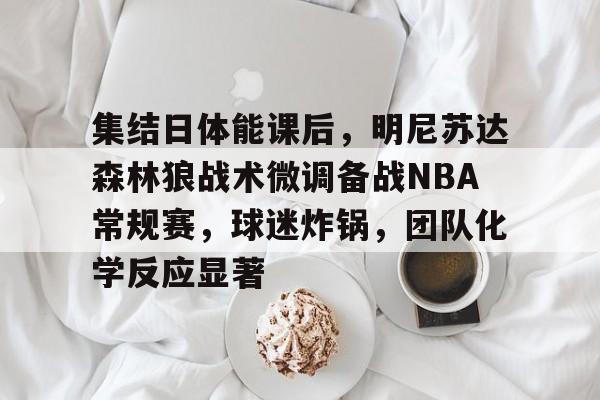 集结日体能课后，明尼苏达森林狼战术微调备战NBA常规赛，球迷炸锅，团队化学反应显著的简单介绍
