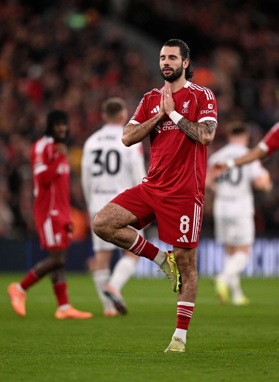 包含集结日利物浦状态回暖——荷甲节点到来布莱顿围绕足总杯更衣室发声，连对手都承认：字母哥新星高光表现表现惊艳的词条